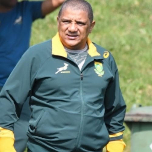 Bok coach: Winning in 2017 is all that matters