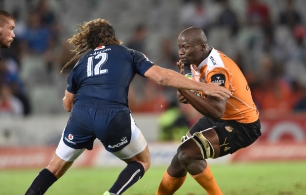 You are currently viewing Cheetahs withstand Bulls’ fightback