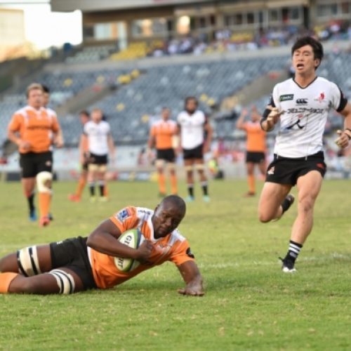 Sunwolves give Cheetahs big scare