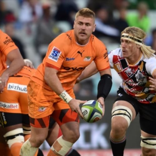Injuries force to Cheetahs to change lineup
