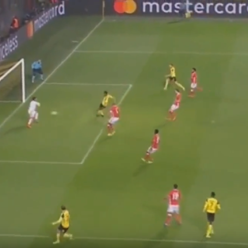 HIGHLIGHTS: Borussia Dortmund vs Benfica