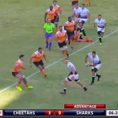 WATCH: Best Super Rugby tries (Round 5)