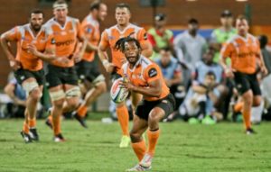 Read more about the article Cheetahs boosted by Petersen’s return