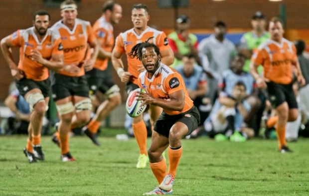 You are currently viewing Cheetahs boosted by Petersen’s return