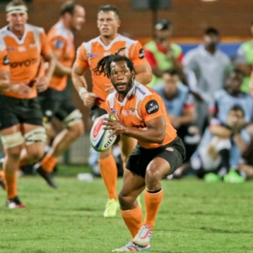 Cheetahs suffer injury setback