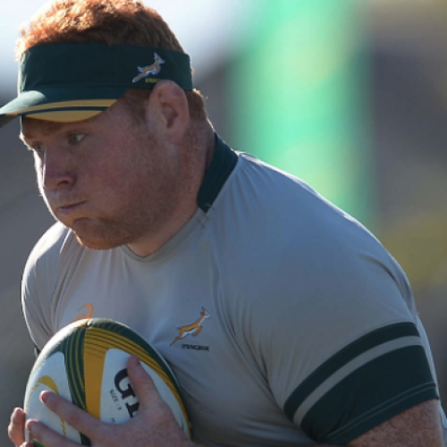 Bok prop coming back to South Africa