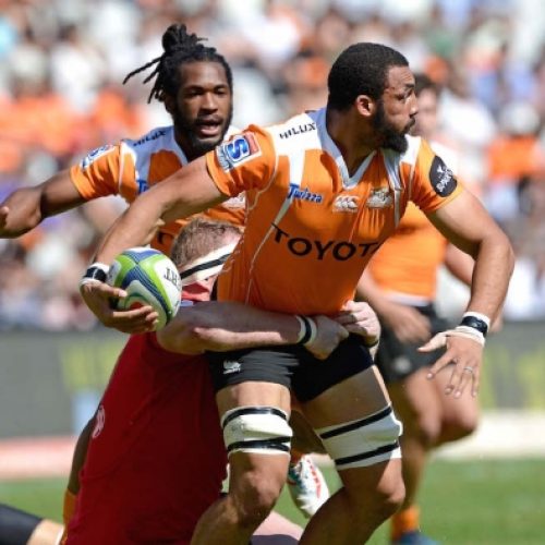 More injury blows for Cheetahs