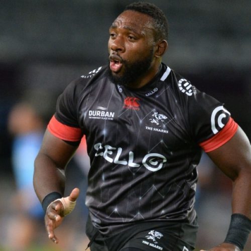 Beast back for Sharks