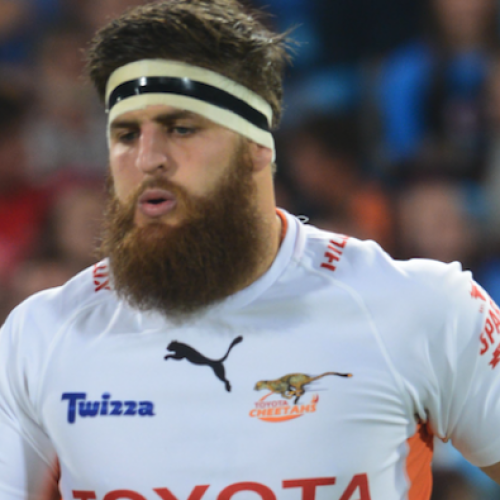 Cheetahs’ Prinsloo signs for Bulls