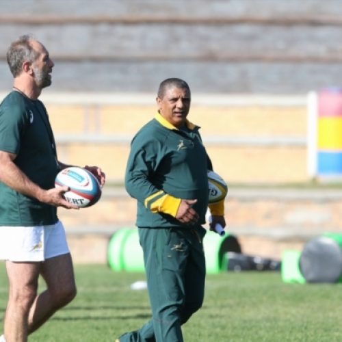 Venter: I’m committed to Boks