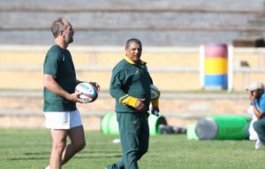 Read more about the article Coetzee: Venter will boost Boks