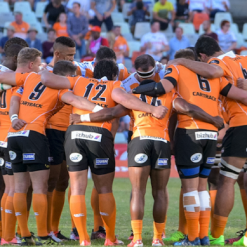 Cheetahs to fight for Super Rugby spot