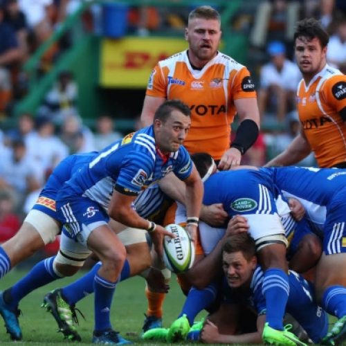 Stormers set for scrumhalf change