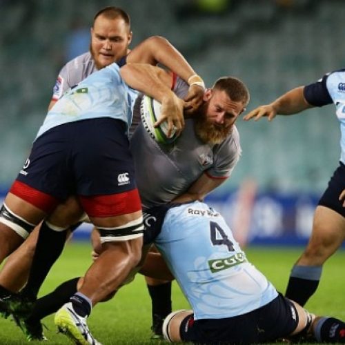 Kings shock Waratahs in Sydney