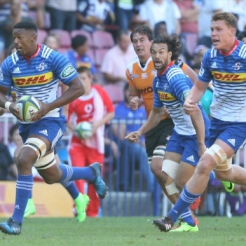 Notshe hat-trick as Stormers crush Cheetahs