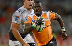 Read more about the article New backline for Springboks?