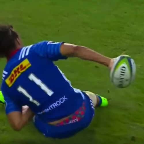 WATCH: Best Super Rugby tries (Round 7)