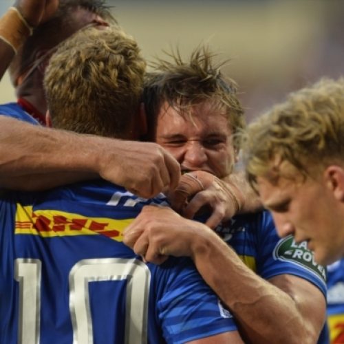 Stormers a beacon of light in dark times