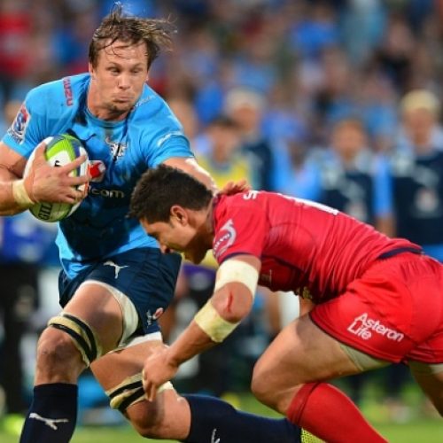 Ulster not signing Bulls’ Botha