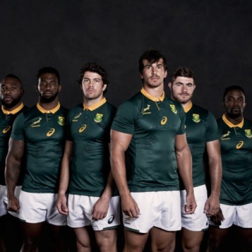 New Springbok jersey revealed