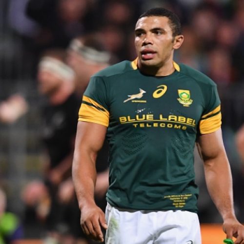 Habana supports South Africa’s World Cup bid