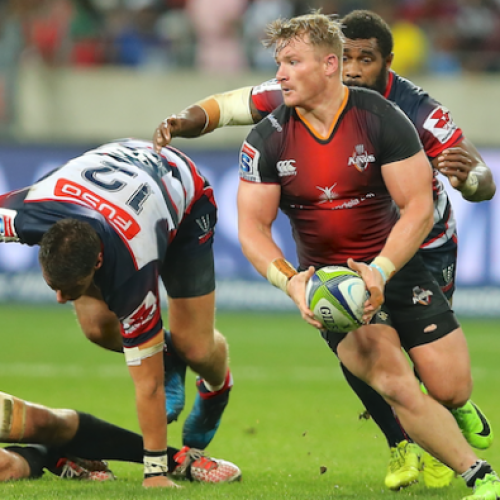Kings stars to join Bok training camp