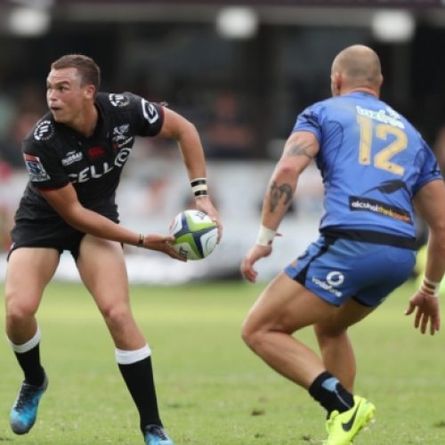 Bosch stars as Sharks tame Force