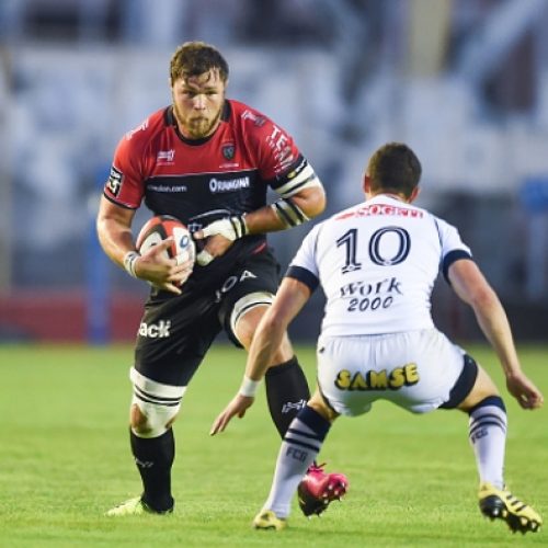 Vermeulen’s Bok arrival delayed