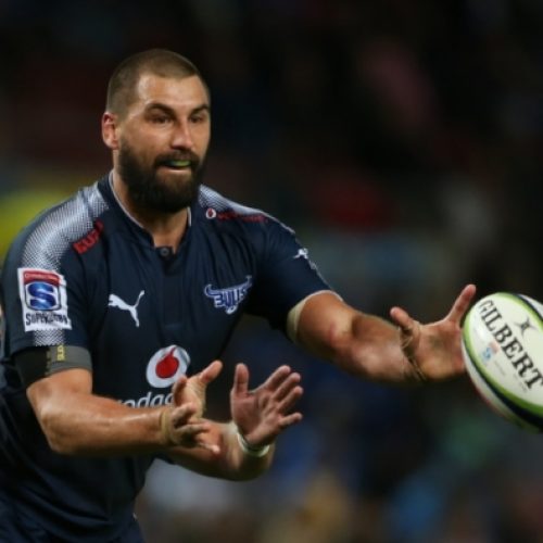 Potgieter to start, Serfontein on bench for Crusaders