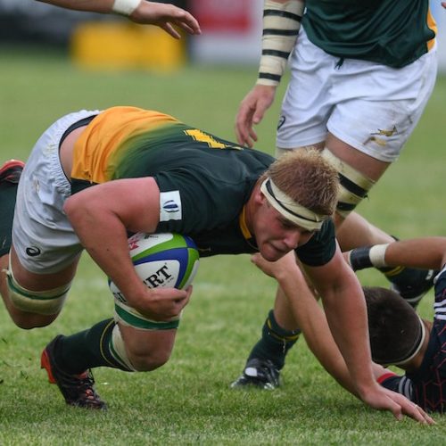 Junior Boks salvage draw in opener