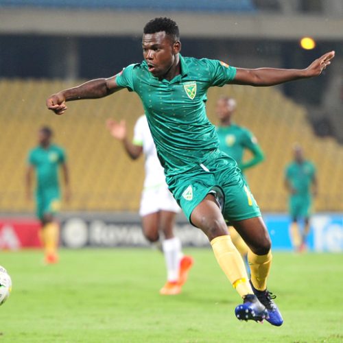 Mutizwa salvages a point for Arrows