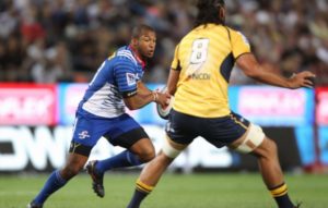 Read more about the article New halfback pairing for Stormers