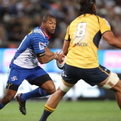 New halfback pairing for Stormers