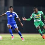 Mandla Masango and Mthokozisi Dube