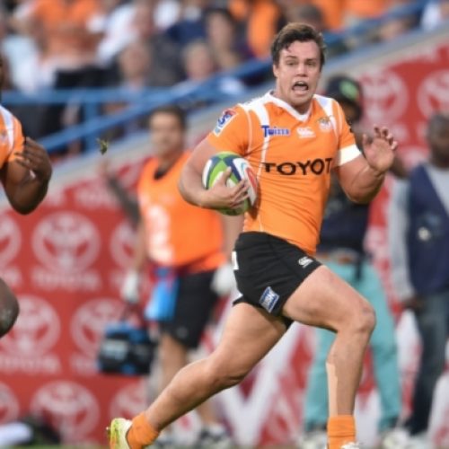 Cheetahs lose Lee for at least four weeks