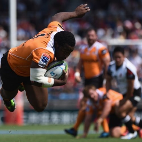 Cheetahs slay Sunwolves in Tokyo