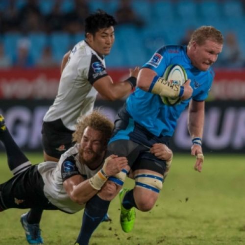 Bulls suffer late setback