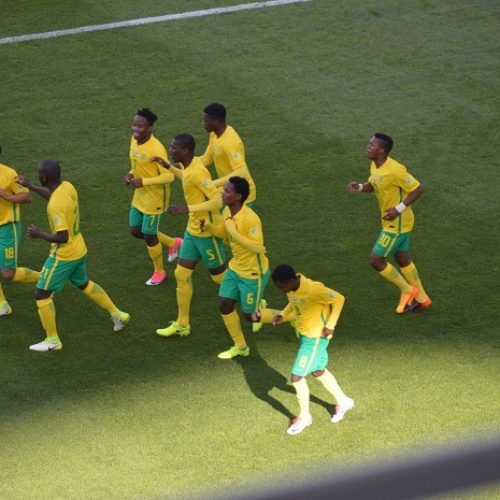 Amajita defeated in World Cup opener