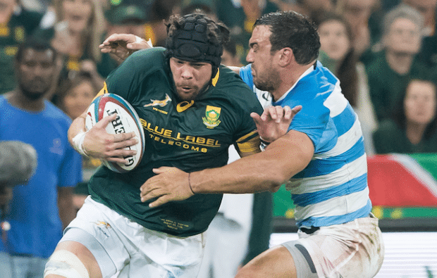 You are currently viewing Whiteley named Springbok captain