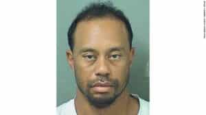 Read more about the article Tiger arrested for alleged drunk driving