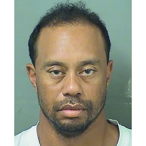 Tiger arrested for alleged drunk driving