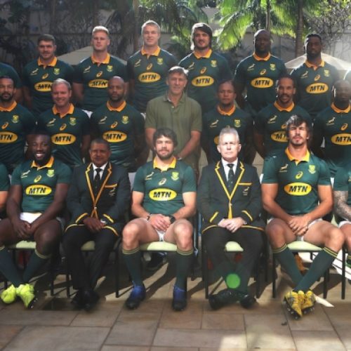 13 Springbok milestones and facts