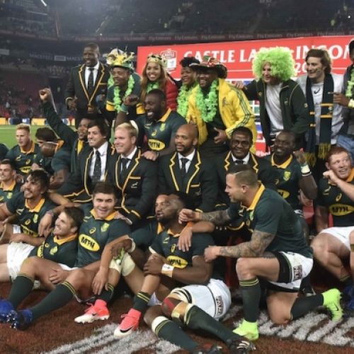 Springboks climb to fifth in rankings