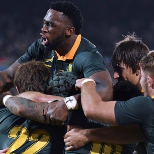 Springboks rise in rankings