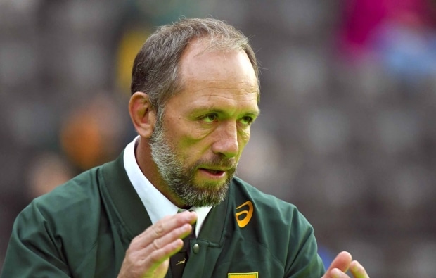 You are currently viewing Defence pays dividends for Springboks