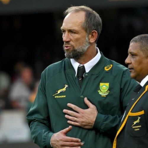 Venter lauds Springbok attack