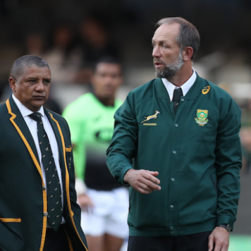 Venter to stay with Springboks