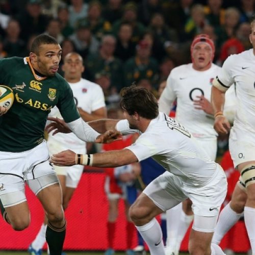 Habana hopeful of final Bok fling