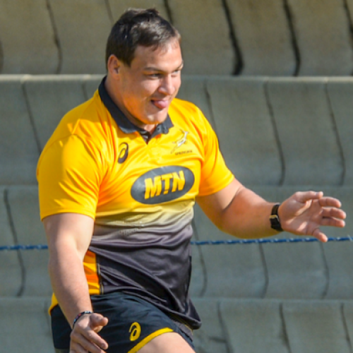 Coenie relishing being back with Springboks