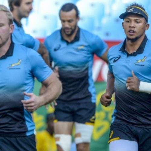 Lions set to dominate Bok team